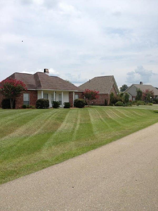 Suburban Lawn Maintenance